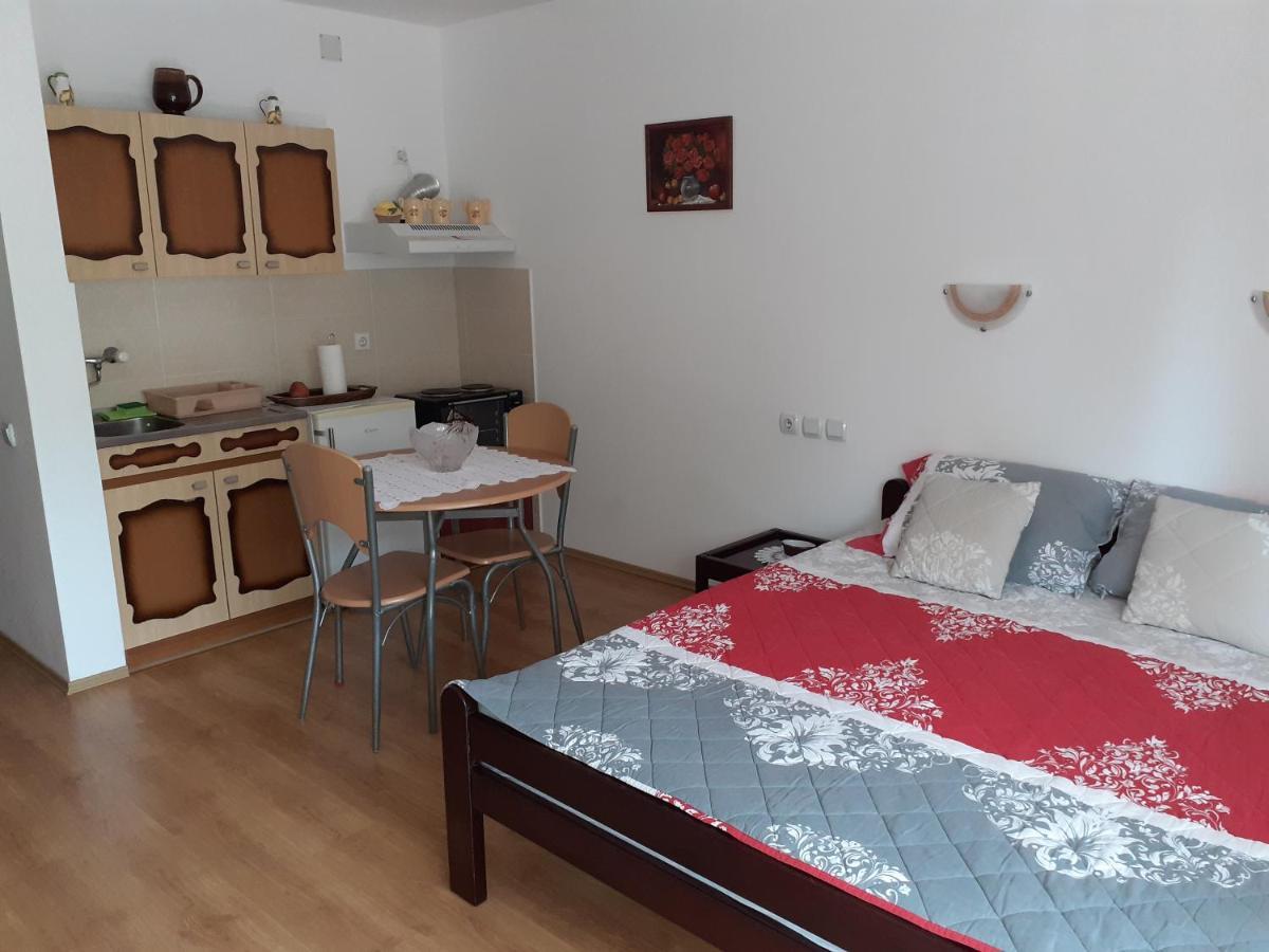 Apartmani "Vila Jelena" Arandjelovac Εξωτερικό φωτογραφία