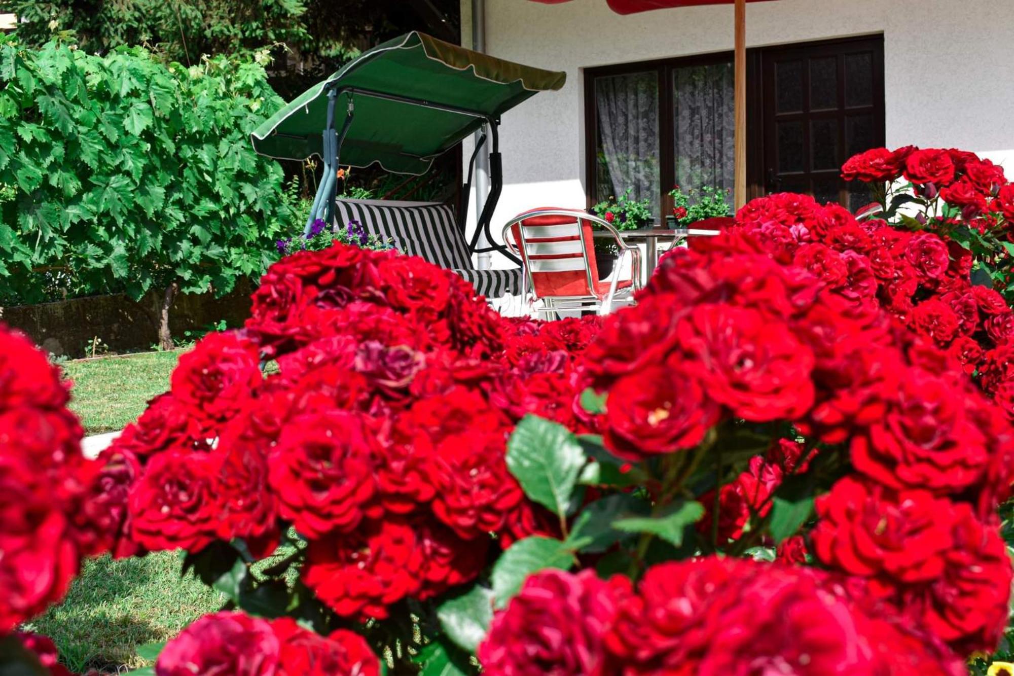 Apartmani "Vila Jelena" Arandjelovac Δωμάτιο φωτογραφία