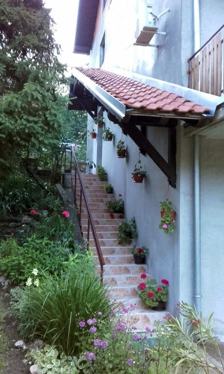 Apartmani "Vila Jelena" Arandjelovac Εξωτερικό φωτογραφία