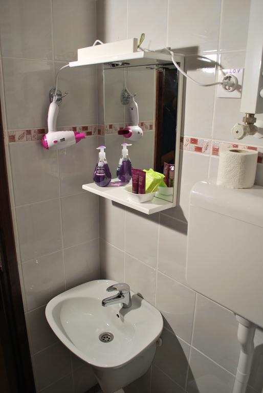 Apartmani "Vila Jelena" Arandjelovac Εξωτερικό φωτογραφία